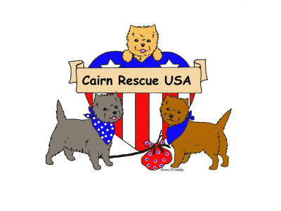 Cairn Rescue USA - Pet Shelter and Rescue in New York, New York