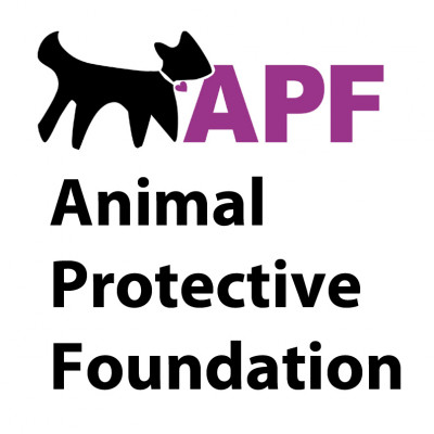 Animal Protective Foundation - Pet Shelter and Rescue in Schenectady, New York