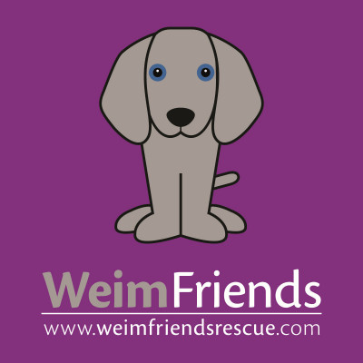 Weim Friends Rescue - Pet Shelter and Rescue in Madeira, Ohio