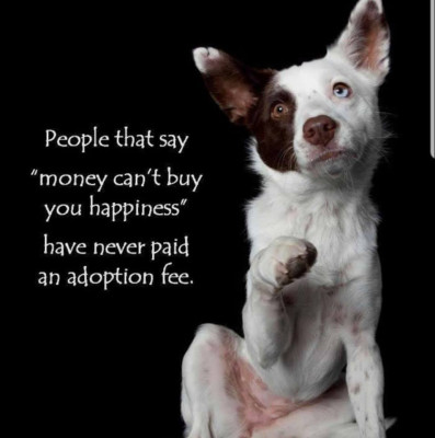 Smoky Mountain Humane Society - Pet Shelter and Rescue in Newport, Tennessee