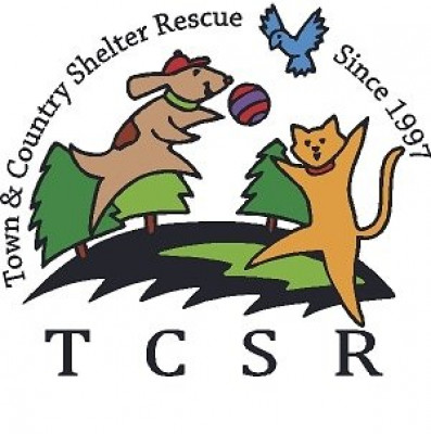 Town And Country Shelter Rescue - Pet Shelter and Rescue in Cross Timber, Texas