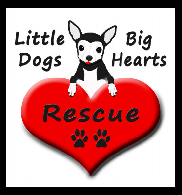 Little Dogs Big Hearts Rescue - Pet Shelter and Rescue in Wichita Falls, Texas