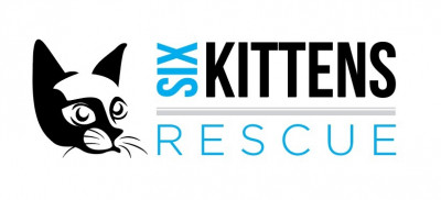 Six Kittens Rescue - Pet Shelter and Rescue in Bryan, Texas