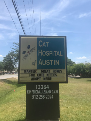 Cat Hospital Of Austin - Pet Shelter and Rescue in Austin, Texas