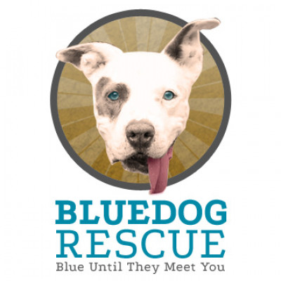 Blue Dog Rescue - Pet Shelter and Rescue in Round Rock, Texas