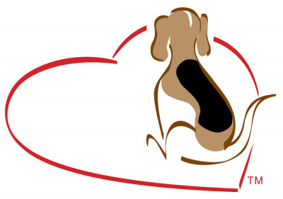 Arizona Beagle Rescue - Pet Shelter and Rescue in El Mirage, Arizona