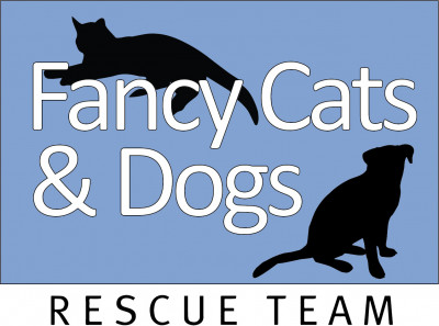 Fancy Cats Rescue Team - Pet Shelter and Rescue in Herndon, Virginia