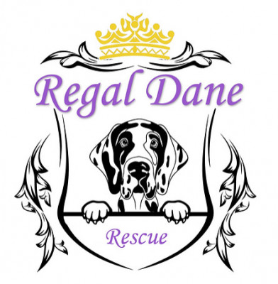 Regal Dane Rescue - Pet Shelter and Rescue in Glendale, Arizona