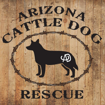 Arizona Cattle Dog Rescue - Pet Shelter and Rescue in Scottsdale, Arizona