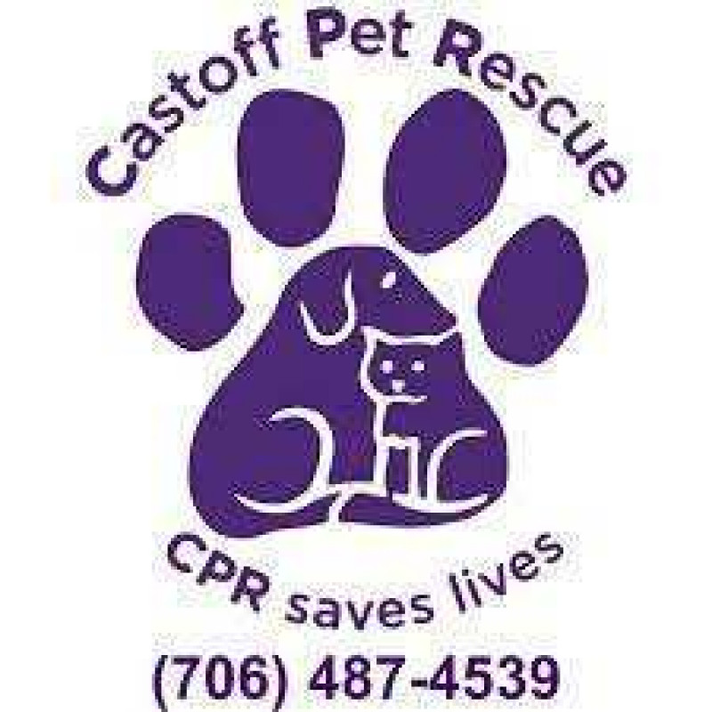Pet Reste Castoff Pet Rescue - Pet Shelter and Rescue in Blairsville, Georgia ...