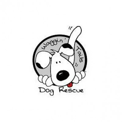 Waggin Tails Dog Rescue - Pet Shelter and Rescue in Northville, Michigan