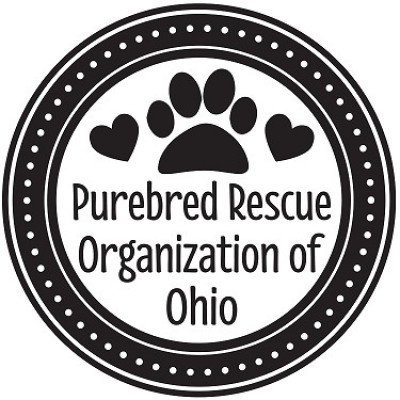 Purebred Rescue Organization Of Ohio, Inc. - Pet Shelter and Rescue in New Albany, Ohio