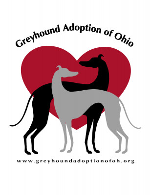 Greyhound Adoption Of Ohio - Pet Shelter and Rescue in Chagrin Falls, Ohio