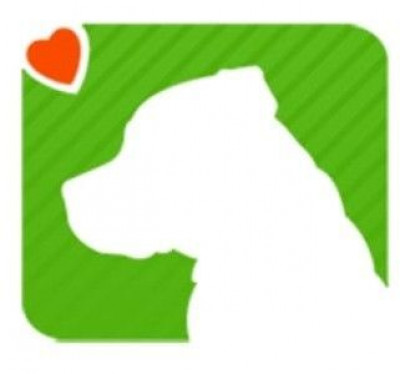 Bullies In Need - Pet Shelter and Rescue in Ottawa, Ontario