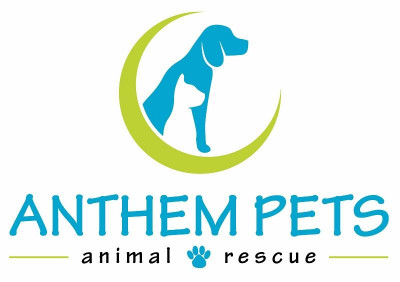 Anthem Pets Animal Rescue - Pet Shelter and Rescue in Anthem, Arizona