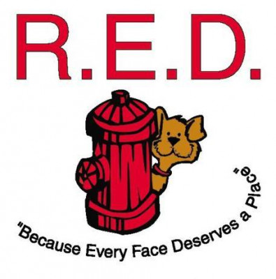 Rescue Every Dog - Pet Shelter and Rescue in Seattle, Washington