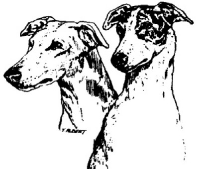 Greyhound Pets, Inc. - Pet Shelter and Rescue in Woodinville, Washington