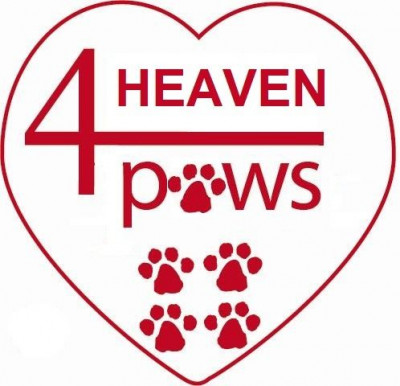 Heaven 4 Paws - Pet Shelter and Rescue in Kirkland, Washington