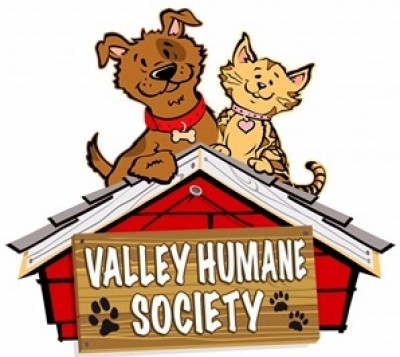 Valley Humane Society Inc. - Pet Shelter and Rescue in Casa Grande, Arizona