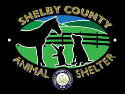 Shelby County Animal Control And Shelter - Pet Shelter and Rescue in Shelbyville, Kentucky