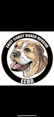 East Coast Boxer Rescue - Pet Shelter and Rescue in Middlesboro, Kentucky