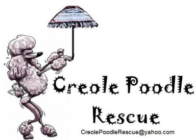 Creole Poodle Club Rescue - Pet Shelter and Rescue in Gonzales, Louisiana