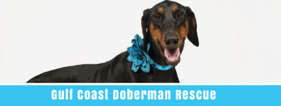 Gulf Coast Doberman Rescue, Inc. - Pet Shelter and Rescue in Gonzales, Louisiana