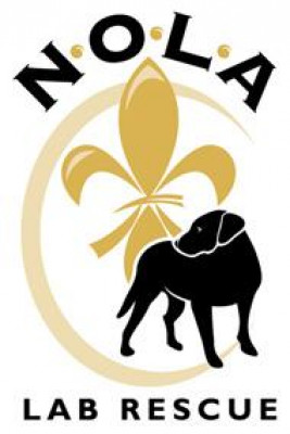 NOLA Labrador Retriever Rescue - Pet Shelter and Rescue in Destrehan, Louisiana