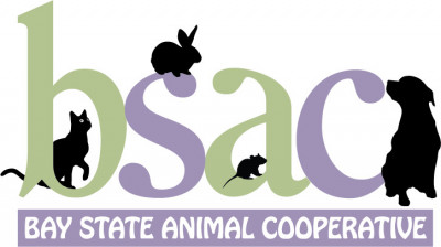 Bay State Animal Cooperative, Inc. - Pet Shelter and Rescue in Norwood, Massachusetts