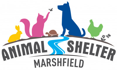 Marshfield Animal Shelter - Pet Shelter and Rescue in Marshfield, Massachusetts