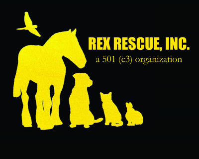 Rex Rescue, Inc. - Pet Shelter and Rescue
