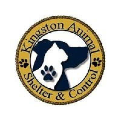 Kingston Animal Control/Shelter - Pet Shelter and Rescue in Kingston, Massachusetts