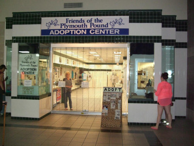 Friends Of The Plymouth Pound - Pet Shelter and Rescue in Plymouth, Massachusetts