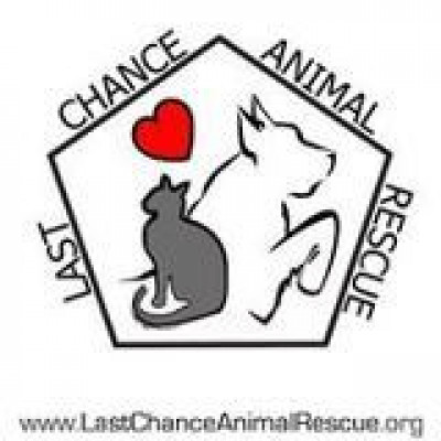 Last Chance Animal Rescue - Pet Shelter and Rescue in Waldorf, Maryland