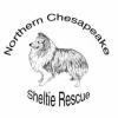 Northern Chesapeake Sheltie Rescue, Inc - Pet Shelter and Rescue in Abingdon, Maryland