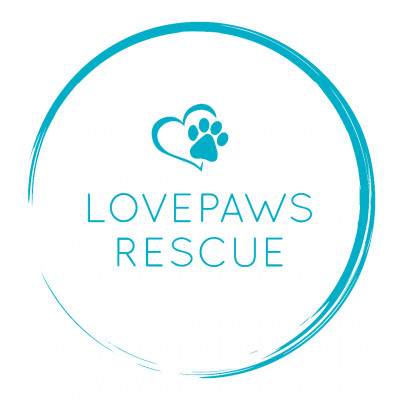 Lovepaws - Pet Shelter and Rescue in Rockville, Maryland