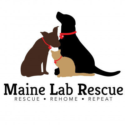 Maine Lab Rescue - Pet Shelter and Rescue in Windham, Maine