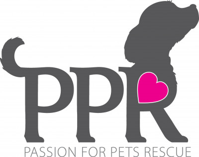 Passion For Pets Rescue - Pet Shelter and Rescue in Brunswick, Maine