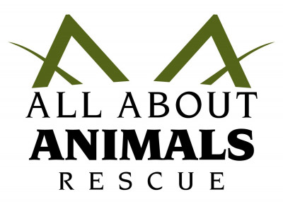 All About Animals Rescue - Pet Shelter and Rescue in Phoenix, Arizona
