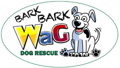 Bark Bark Wag Dog Rescue - Pet Shelter and Rescue in Livonia, Michigan