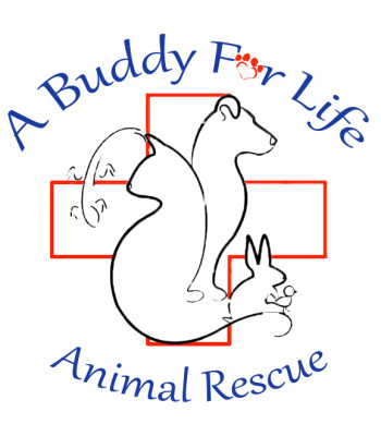 A Buddy For Life - Pet Shelter and Rescue in Warren, Michigan