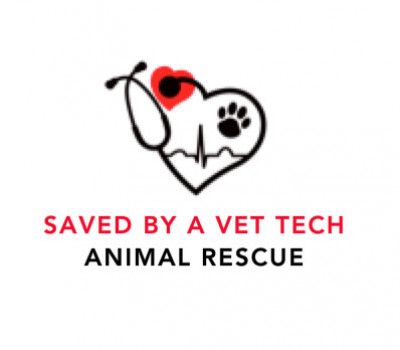 Saved By A Veterinary Technician - Pet Shelter and Rescue in Lincoln Park, Michigan