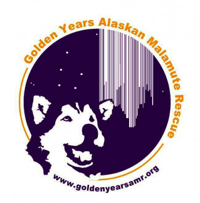 Golden Years Alaskan Malamute Rescue - Pet Shelter and Rescue in Wyoming, Michigan