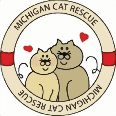 Michigan Cat Rescue - Pet Shelter and Rescue in St. Clair Shores, Michigan