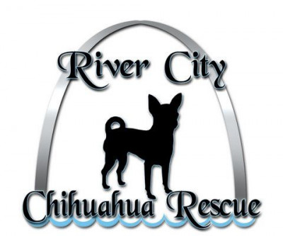 River City Chihuahua Rescue - Pet Shelter and Rescue in St. Louis, Missouri