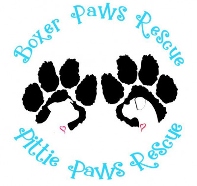Boxer Paws Rescue - Pet Shelter and Rescue in Kansas City, Missouri