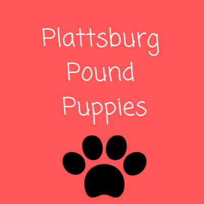 Plattsburg Pound Puppies (City Of Plattsburg, MO) - Pet Shelter and Rescue in Plattsburg, Missouri