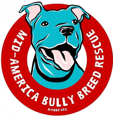 Mid America Bully Breed Rescue - Pet Shelter and Rescue in Kansas City, Missouri