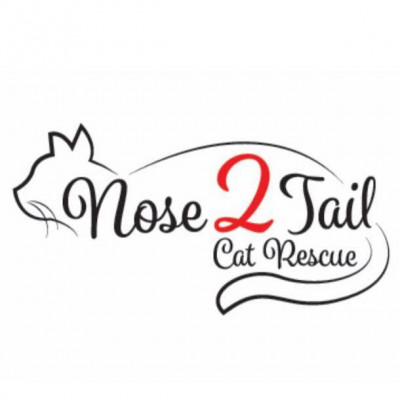 Nose 2 Tail Cat Rescue - Pet Shelter and Rescue in McDonald, Pennsylvania