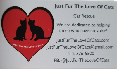 Just Fur The Love Of Cats - Pet Shelter and Rescue